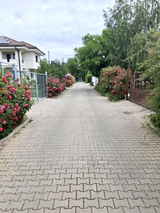 PROPRIETAR - Inchiriez apartament 3 camere cu curte in Baneasa Sisesti