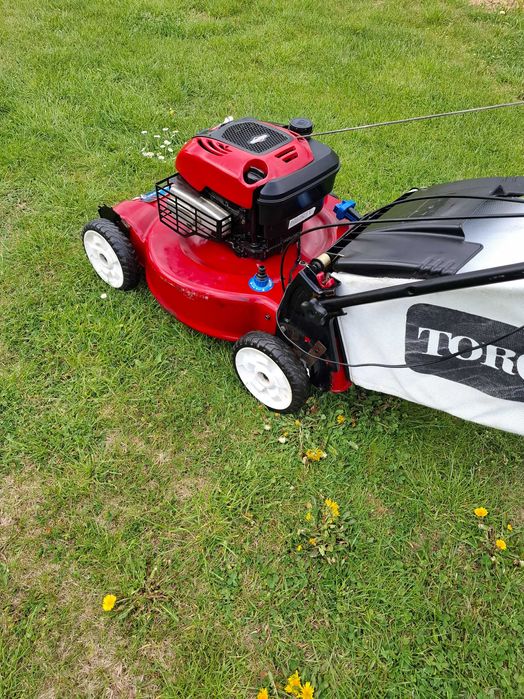 Masina gazon  /  iarba  /  toro