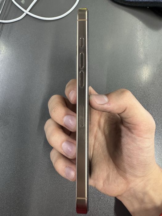 Iphone 16 pro max, 256, 92%