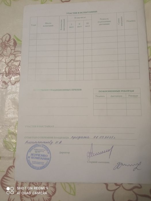 Продам Орловского жеребца 3 лет