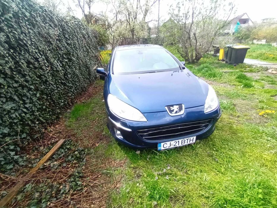 Vand Peugeot407 139 CP