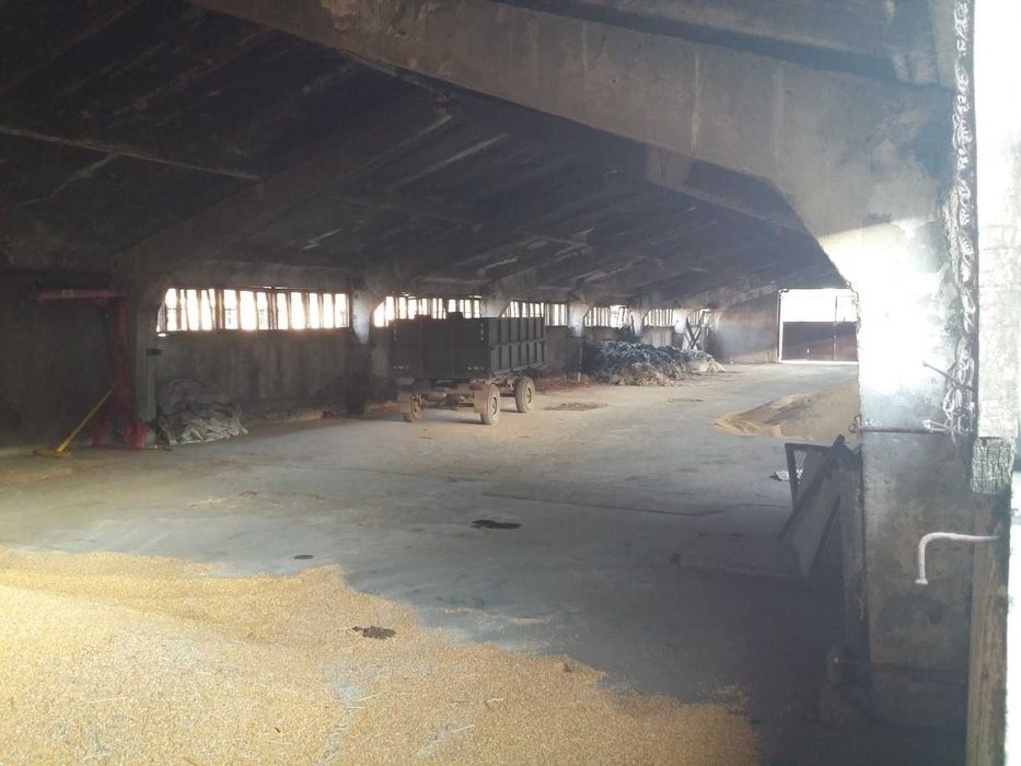 Продава се Склад в с. Нова Черна, Област Силистра - 975 кв.м за 105 €/кв.м - Снимка #5