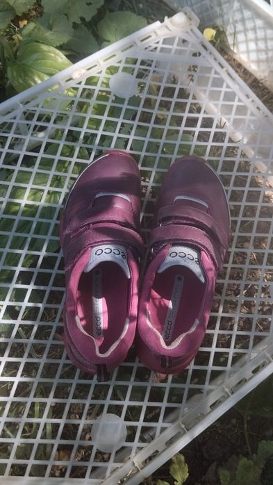 Детские кроссовки ecco