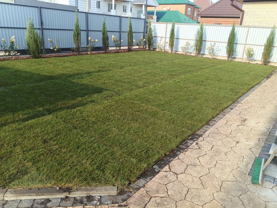 Озеленение участка