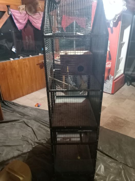 Colivie la. Schimb cu roiuri de albine. Sau  cu porumb