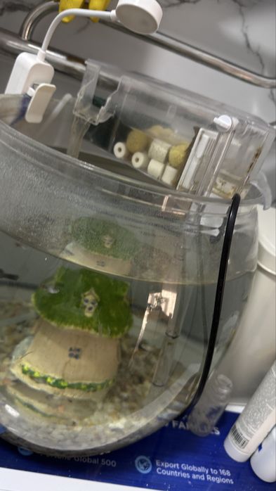 Аквариум с рыбками