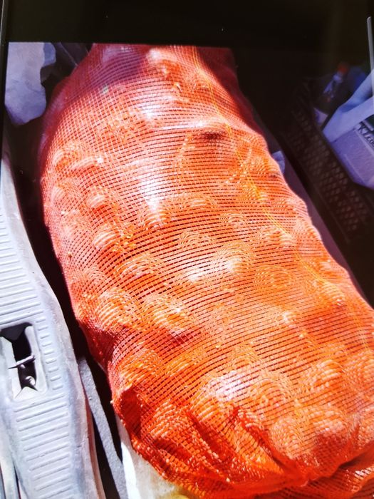 Продам картошку семенную