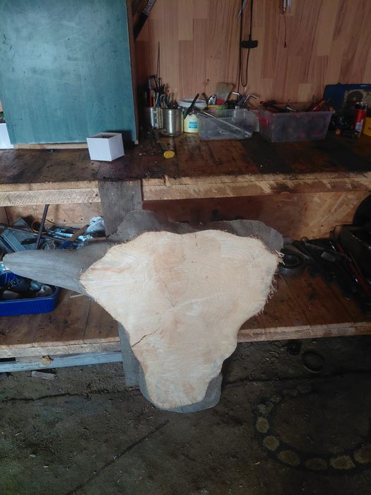 Blaturi molid uscate de 8 ani aștept oferte