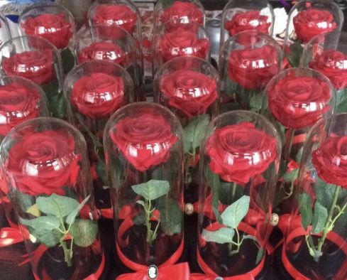 Trandafir rosu in cupola de 17-20-25 cm