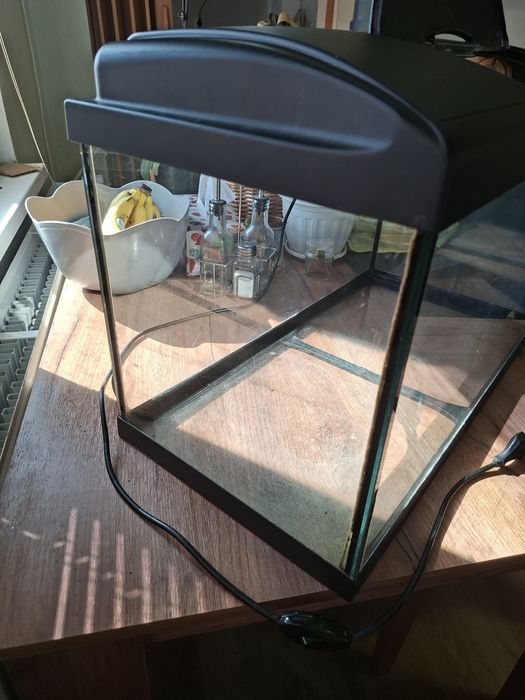 Аквариум Ferplast CAPRI 60