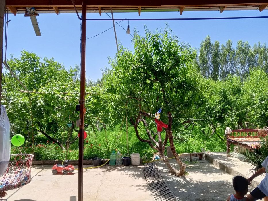 Xovli uy quvasoy shahar kamuna mfyda
