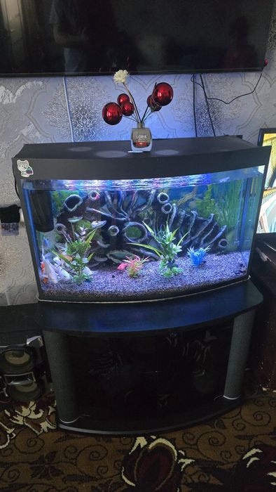 Аквариум 100литров