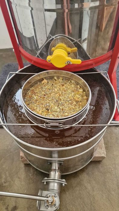Vand miere (stupi detinuti de o familie in Gradina Botanica)