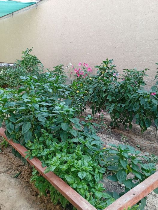 Уй сотилади Шайхонтохур. Белтепа янги тошми