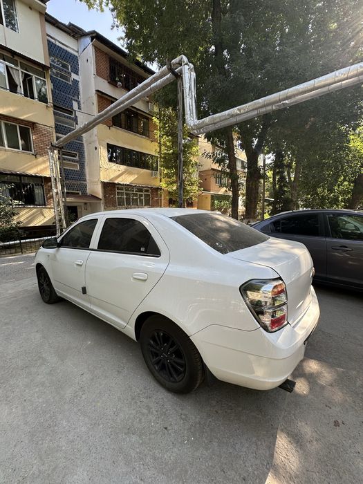 Cobalt A/T Midnight 2025 Tozza