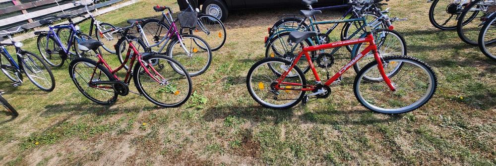 Biciclete normale
