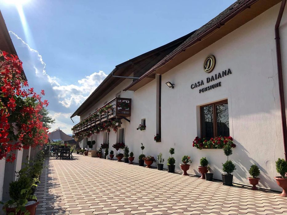 Pensiune/cabană de închiriat cu piscină și jacuzzi-100lei/noapte/pers