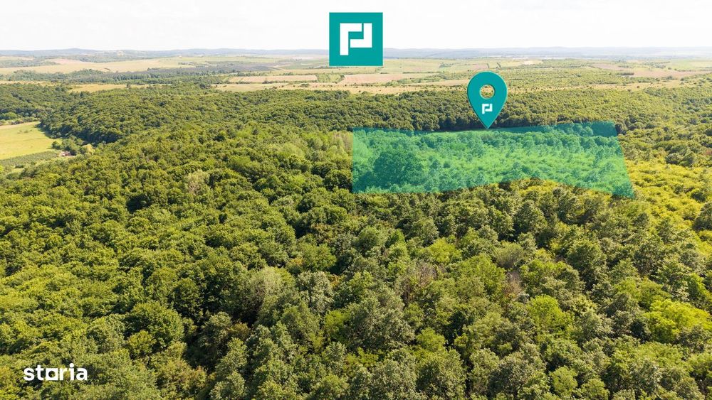 Teren Agricol Extravilan  22.900 Mp Lipova