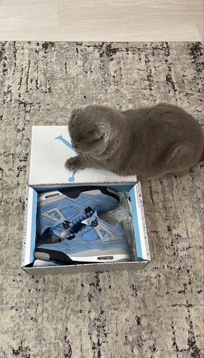 Jordan 4 university blue