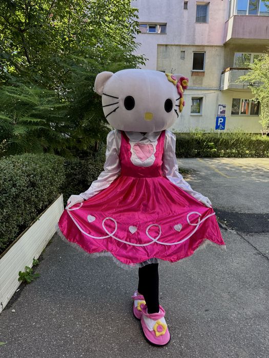 Mascota animator petreceri copii