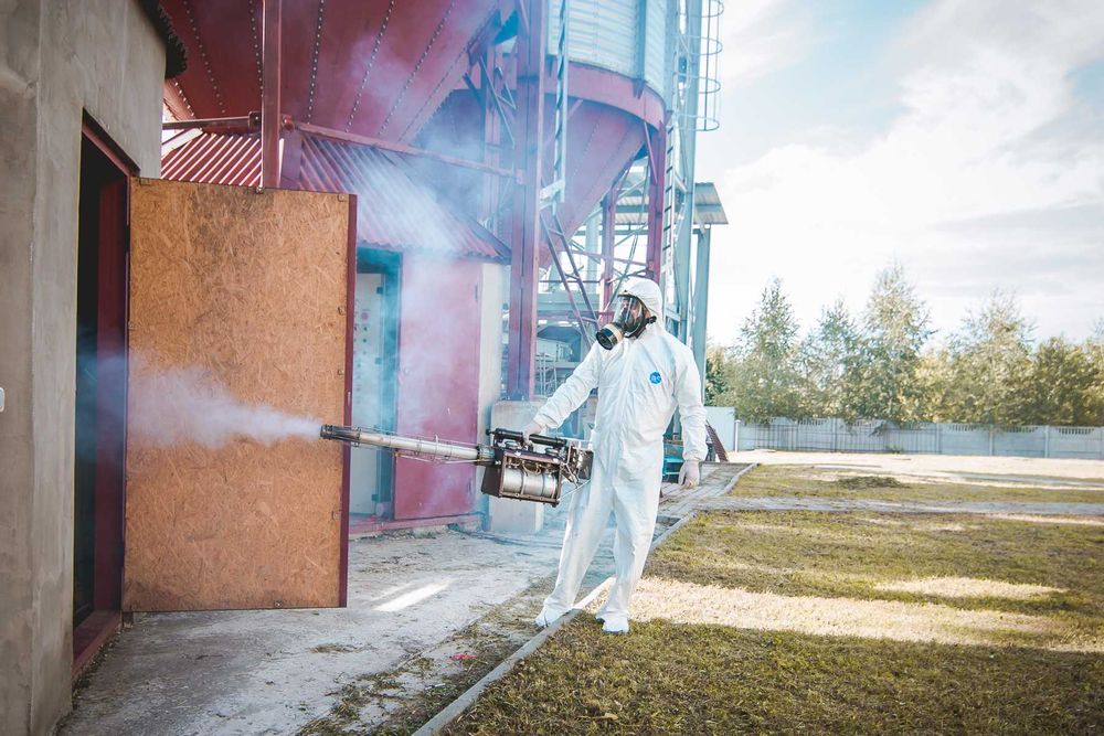 Дезинфекция | Дизинфекция  Дизенфекция Дезенфекция от клопов тараканов