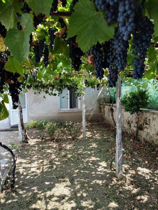 Продава се Къща в с. Свирково, Област Хасково - 1200 кв.м за 23 €/кв.м - Снимка #14