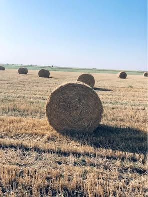Слама Рулонки ичемяна и пшеничена