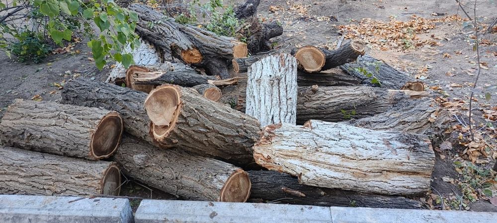 Дрова бесплатно даром