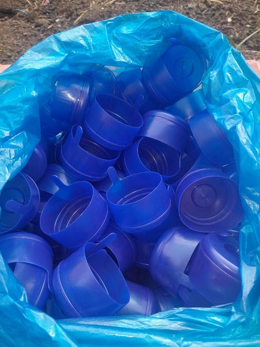 19 letrlik bakalashka qopqoqlari va bakalashka salafanlari