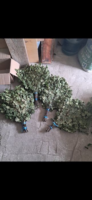 Продам веники для бани