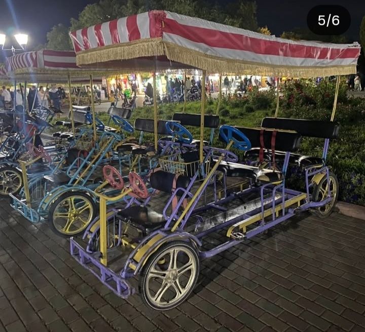 Семейные великиии