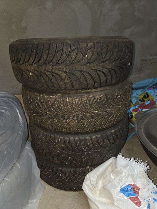 Шина зимний,шипи