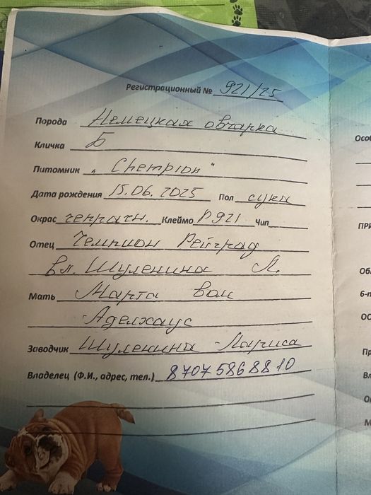 Продам Немецкую овчрку