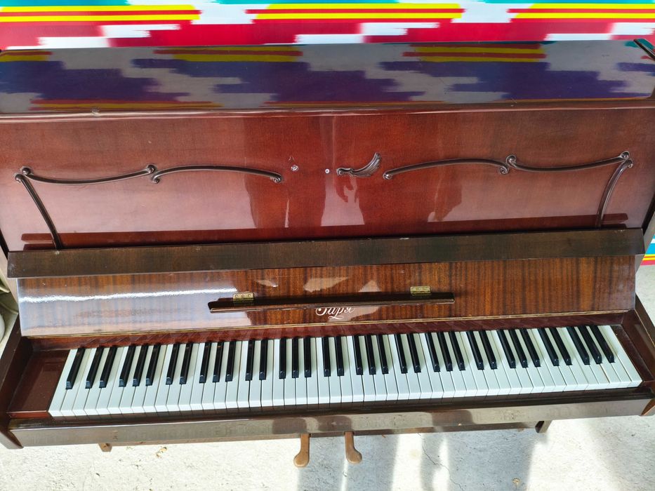 Pionina zara sotiladi