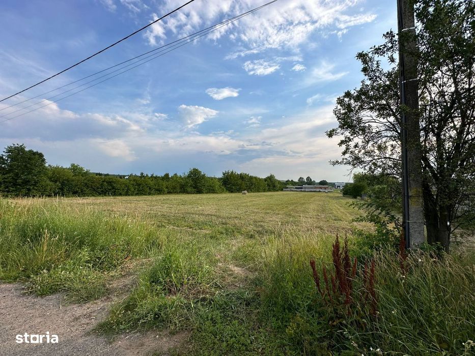 Teren intravilan  – Viile Satu Mare, Str Șoimului