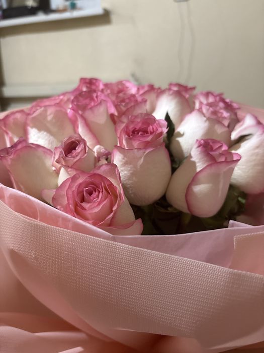 Гүл керектер хабарласыңдар