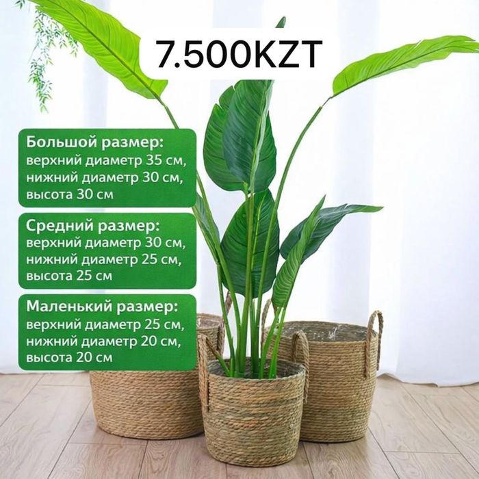 Капшо Корзина набор