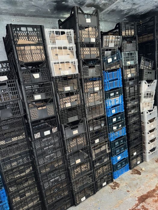 Плосмасовые ящики