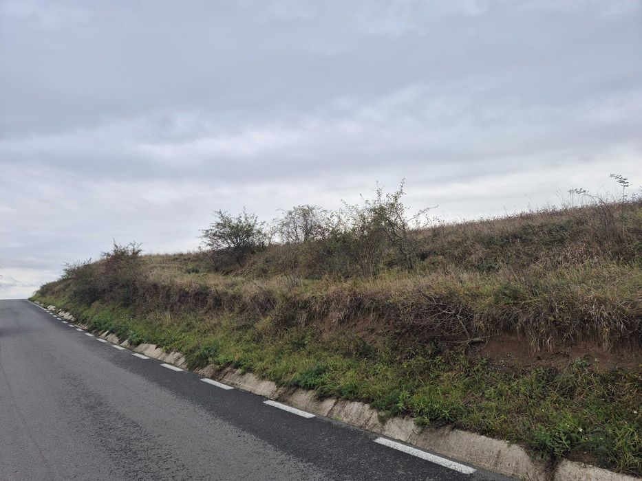 teren 600 mp, front 15 ml in Baciu / 4 terenuri max 11 630mp 18 case