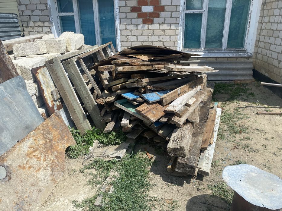 Отын агаштары тегын