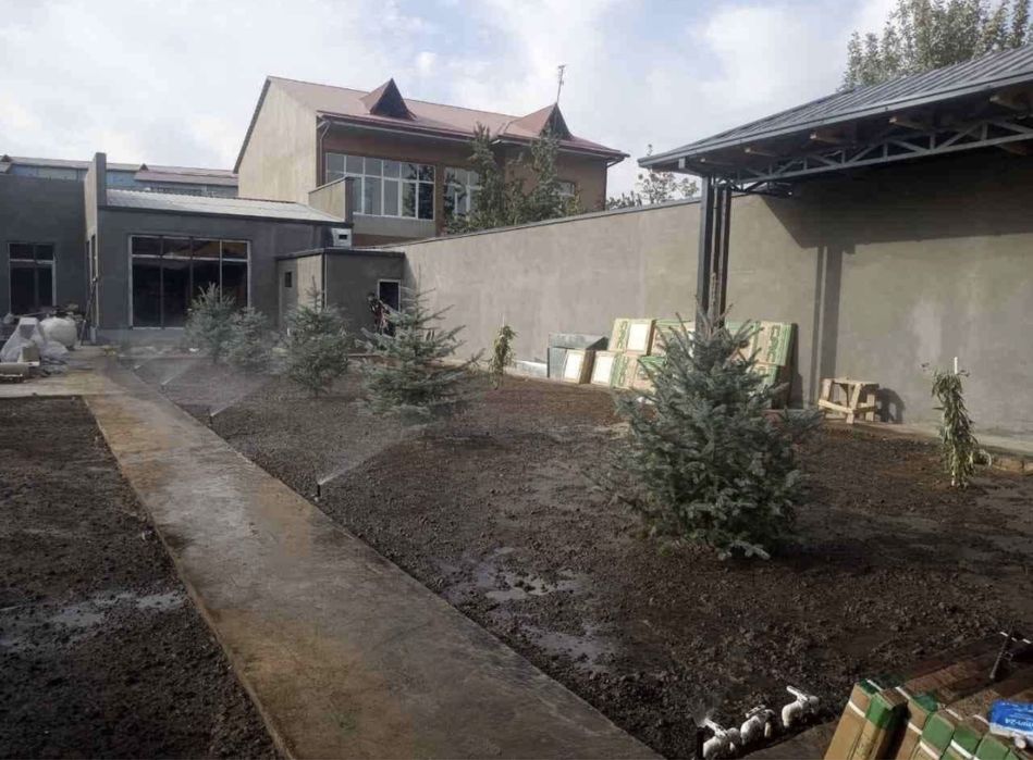 Посев рулонного газона