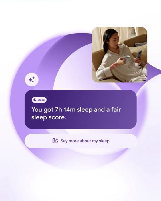 Google Fitbit Air Obsidian