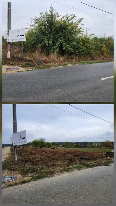 Servicii complete cosire defrișare și eliminare a ambroziei tocare