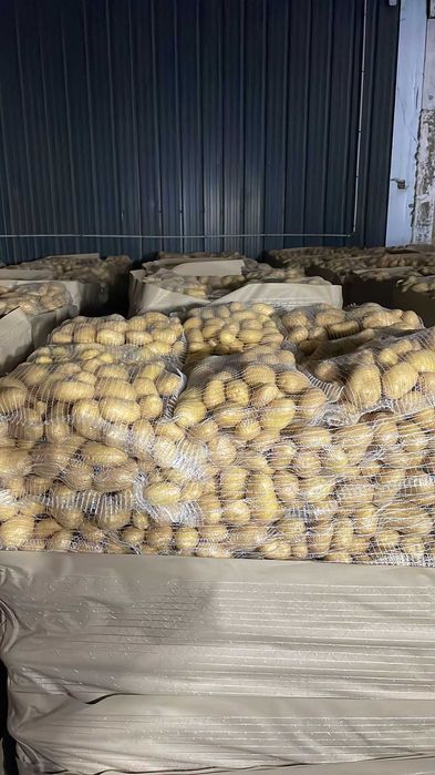 Vand cartofi de consum cal. 1