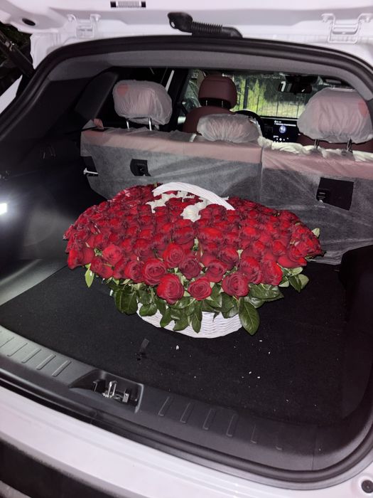 Цветы Н  продаетяс срочно казр келд