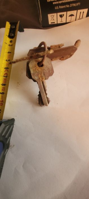 Set de chei gasit in padure