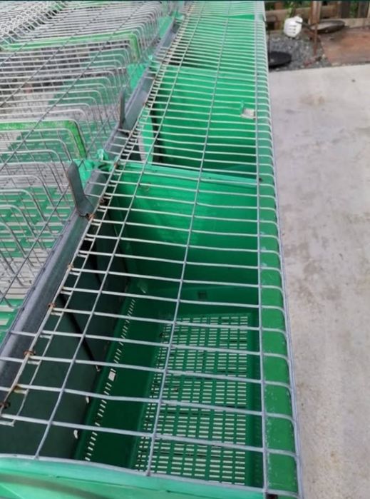 Vând cușcă iepuri