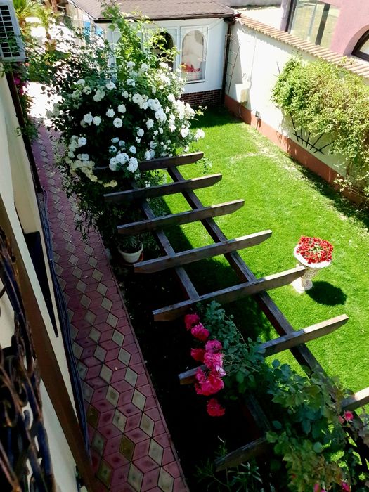 Ofer catre inchiriat pe termen lung, vila de lux in cartier Trivale.