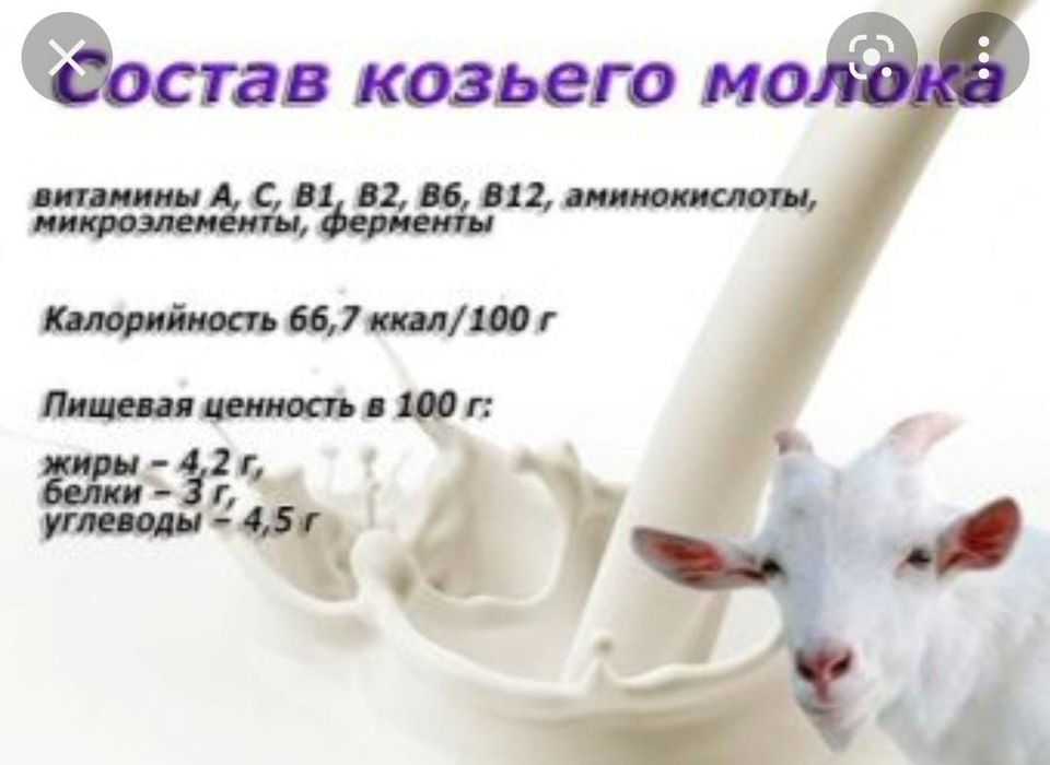 Натуральное козье молоко.