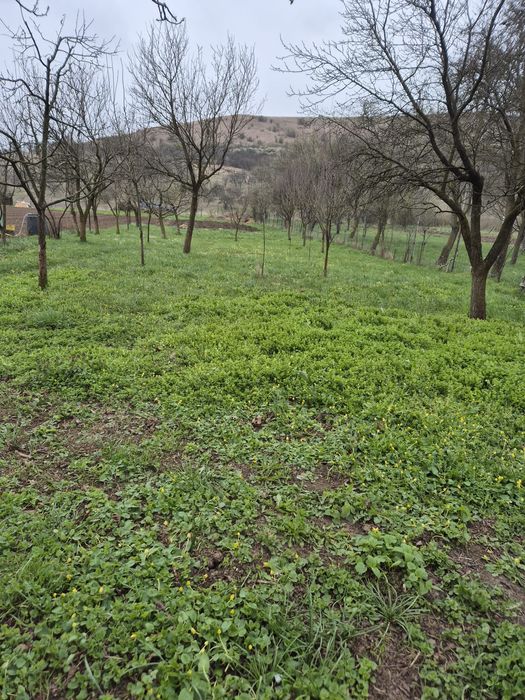Teren intravilan de vânzare Luna de Sus